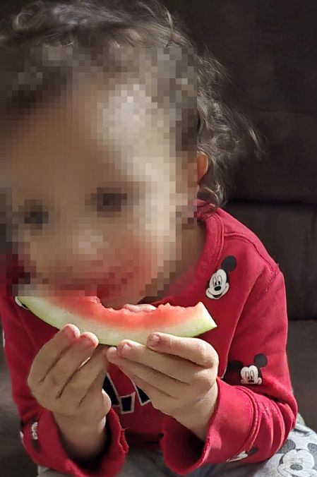 A toddler eating a slice of seedless watermelon, contented.