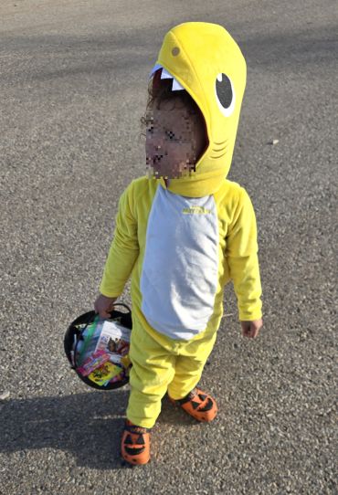 A toddler in a Baby Shark costume standing in the cold breeze poised and ready to take all the candy through